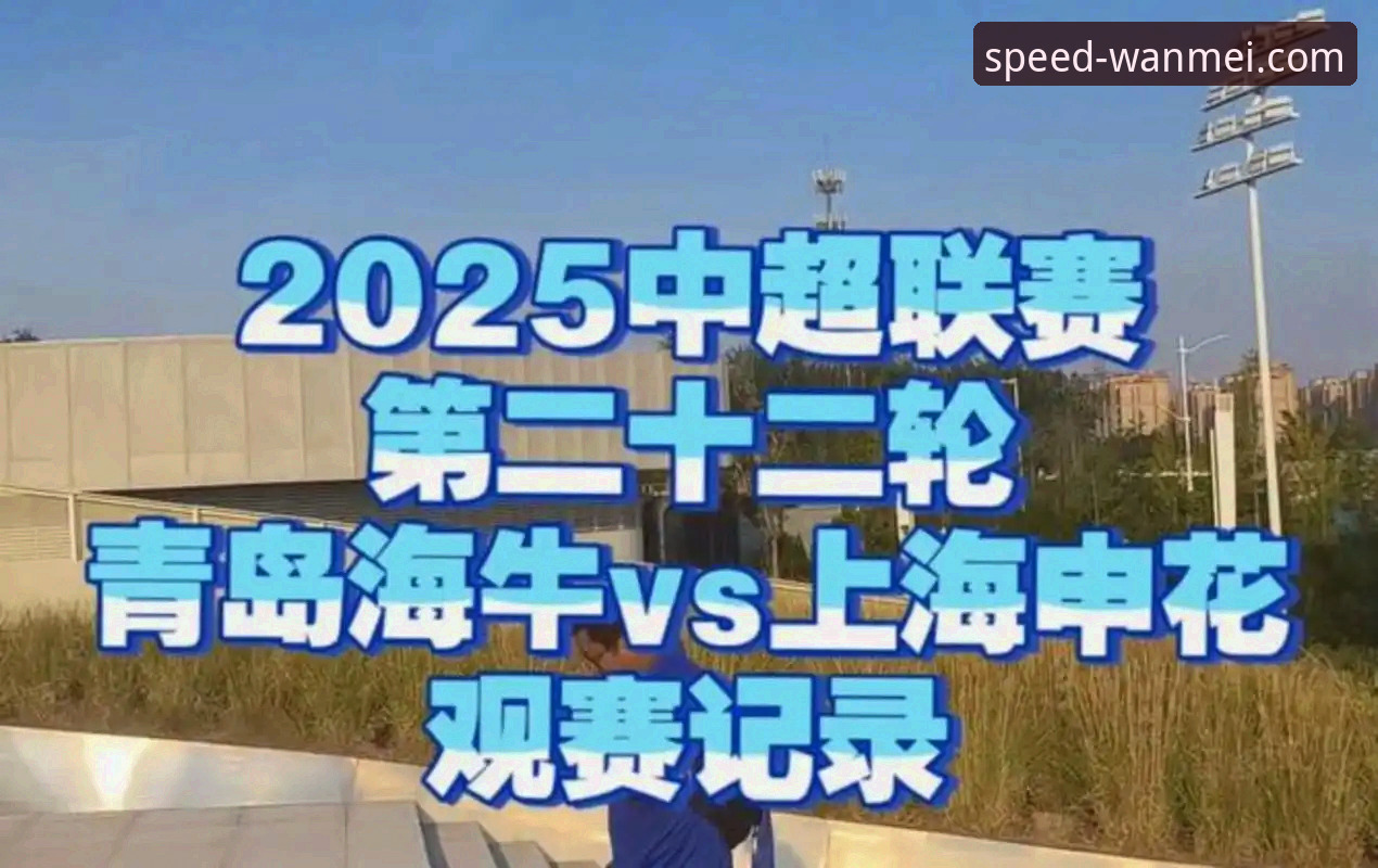 青岛海牛3-1击败上海海港赛事回顾与完美体育App观赛体验